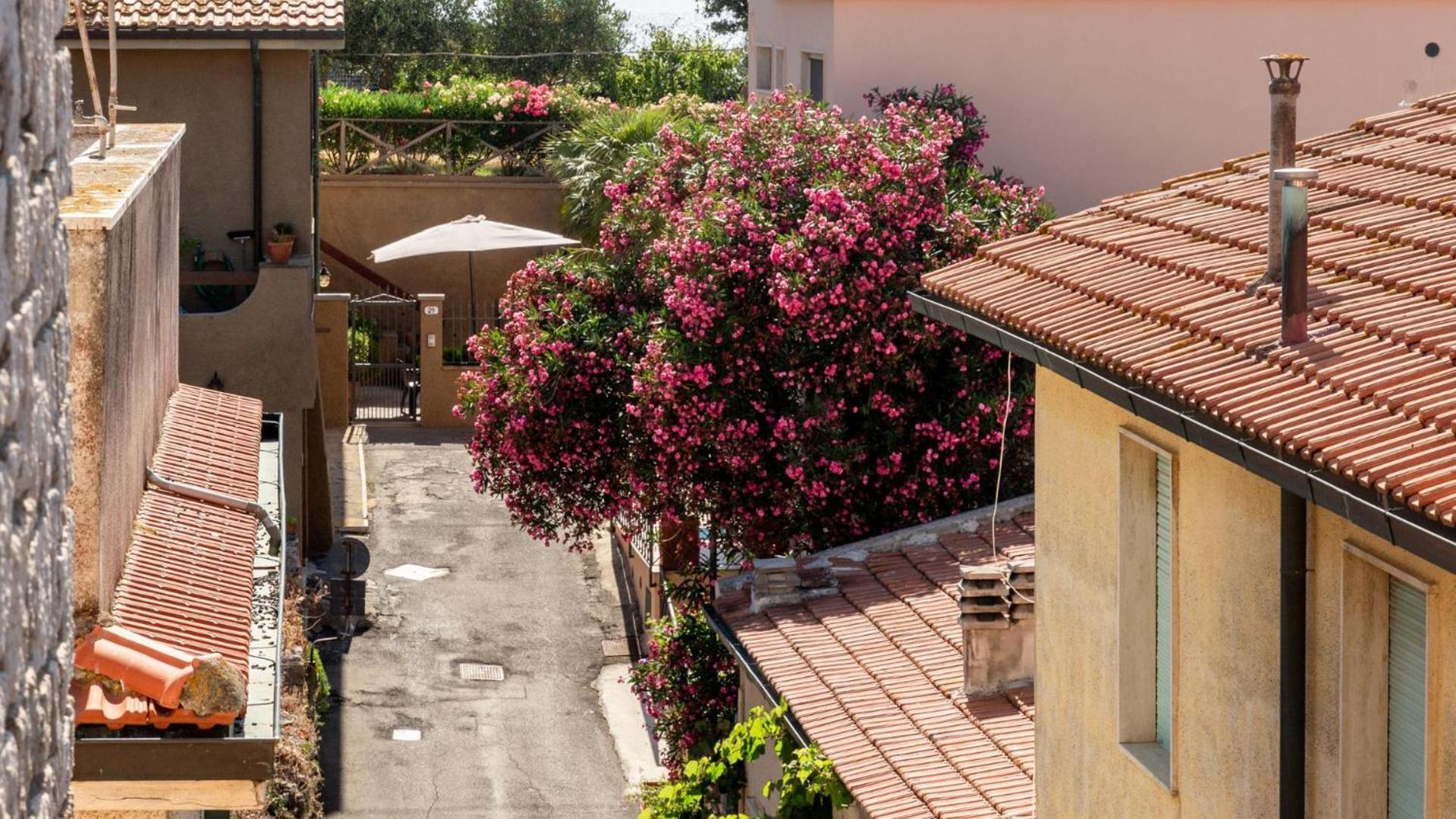 טלאמונה Hotel Il Telamonio מראה חיצוני תמונה
